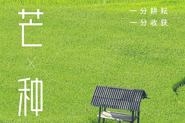 今日芒種！一份耕耘，一份收獲